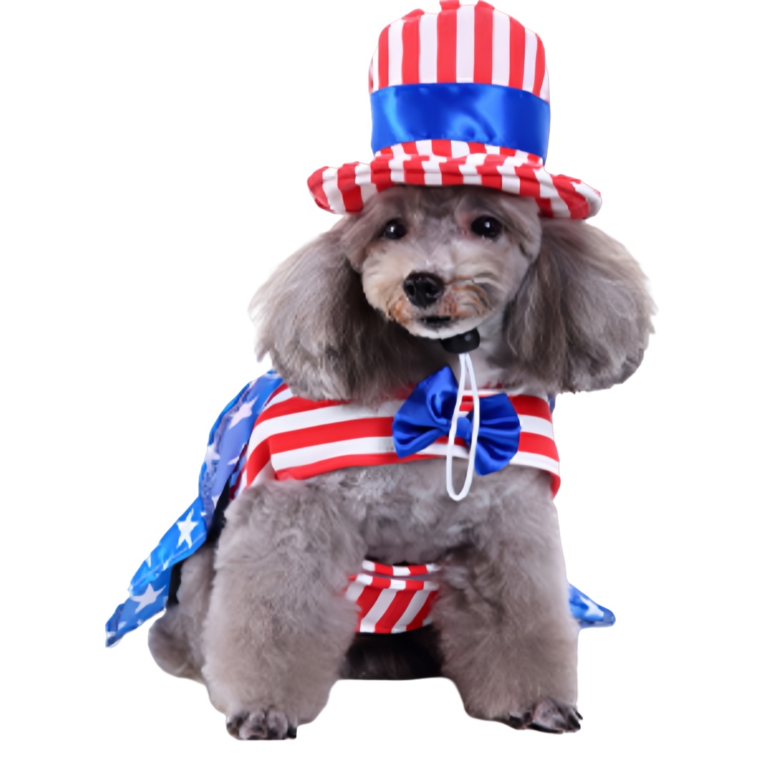 Patriotic Pet Costume With American Flag Design Include Top Hat